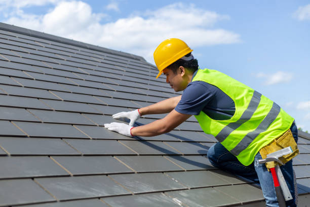 Best Local Roofing Companies  in Robins Af, GA
