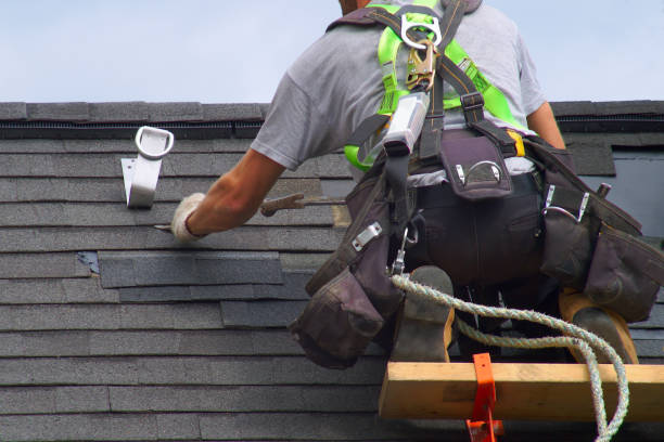 Best Roof Restoration Services  in Robins Af, GA