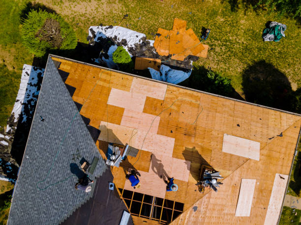 Quick and Trustworthy Emergency Roof Repair Services in Robins Af, GA