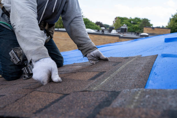 Best Flat Roof Repair Services  in Robins Af, GA