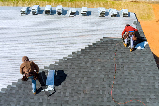 Best Gutter Installation and Roofing  in Robins Af, GA