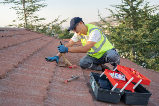 Best Roof Restoration Services  in Robins Af, GA