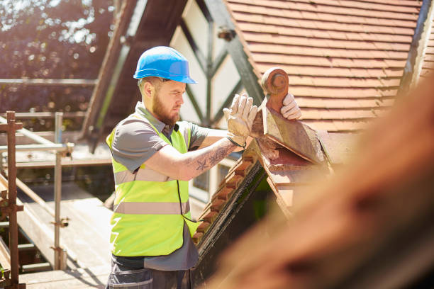 Best Roof Repair Services  in Robins Af, GA