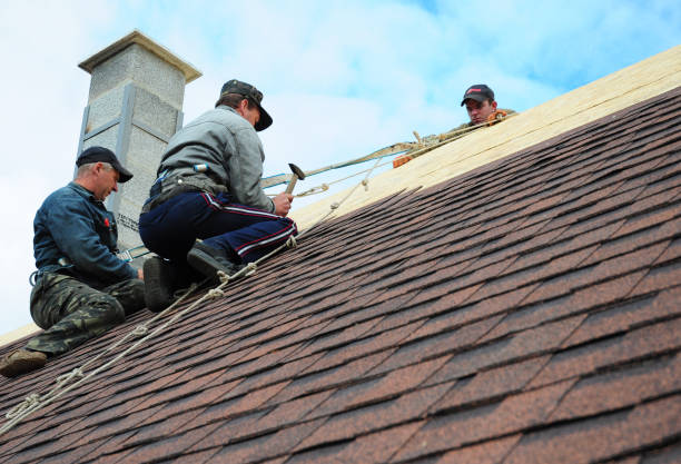 Best Residential Roofing Contractor  in Robins Af, GA